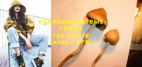 МДПВ Саяногорск