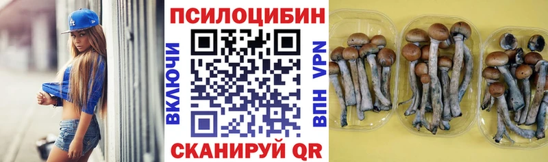 Галлюциногенные грибы прущие грибы  Александровск-Сахалинский 